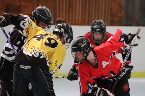 New to Inline Hockey?