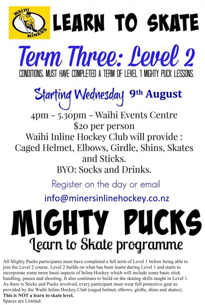 Mighty Pucks - Level 2